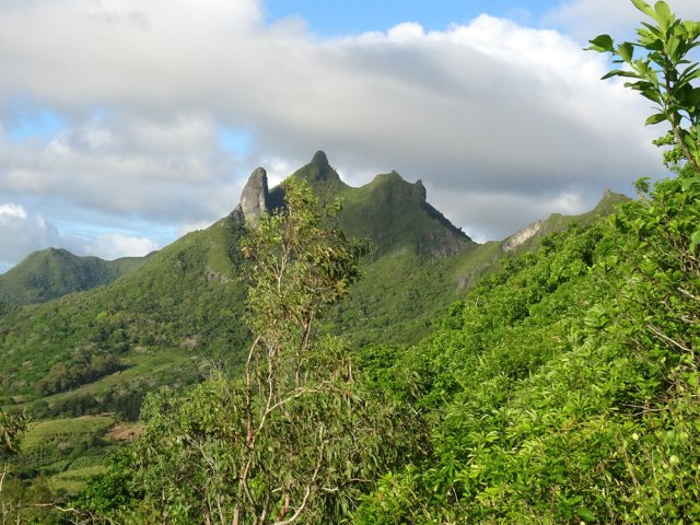 Le Chat, à droite paraît minuscule par rapport au Mount Bambou
