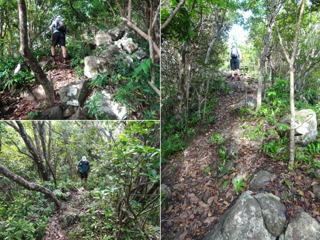 Passages fréquents dans les roches