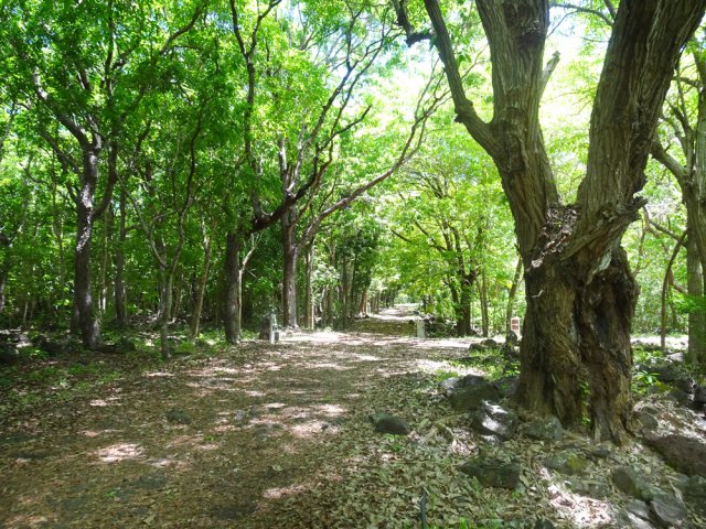 Bien suivre les panneaux et poteaux aux croisements des pistes et sentiers