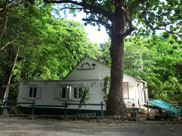 Le Visitor Center sous son grand arbre