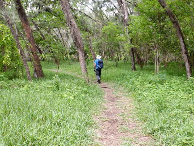 Nouvelle promenade à plat sous les filaos