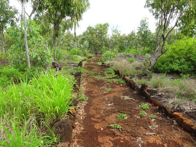 Davantage de terre rouge que de dalles de lave à l'approche de Mare Sarcelle