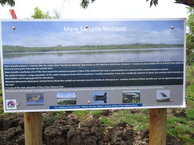 Le panneau explicatif de Mare Sarcelle