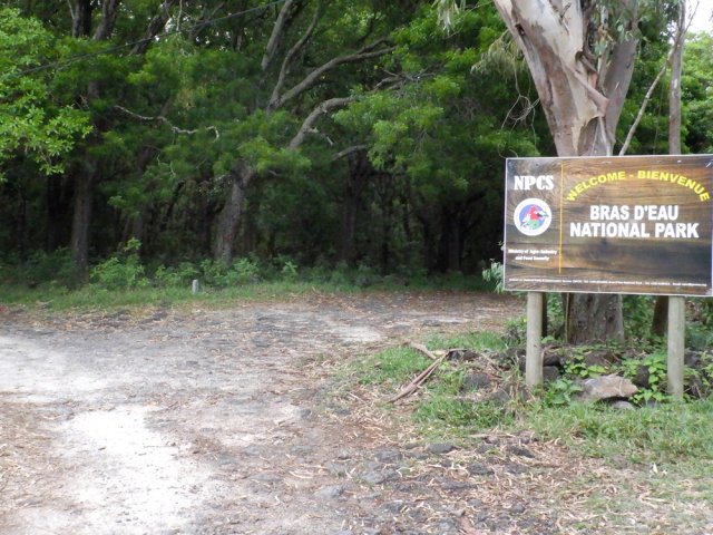 Une des pistes pénétrant dans la parc depuis la côte