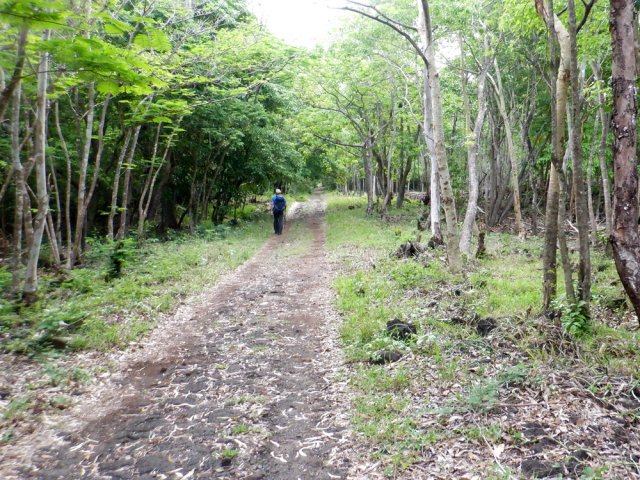 On retrouve la piste délaissée aux alentours des mares