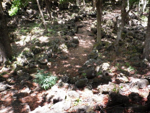 Le sol est souvent très empierré