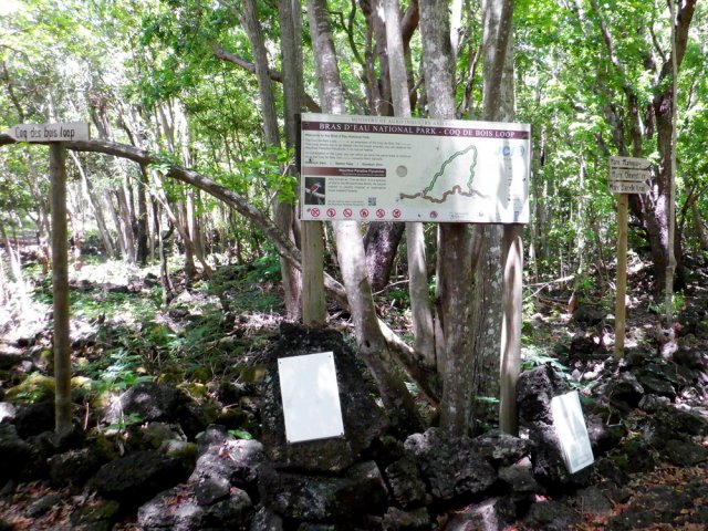 Quelques embranchements bien marqués et renseignés