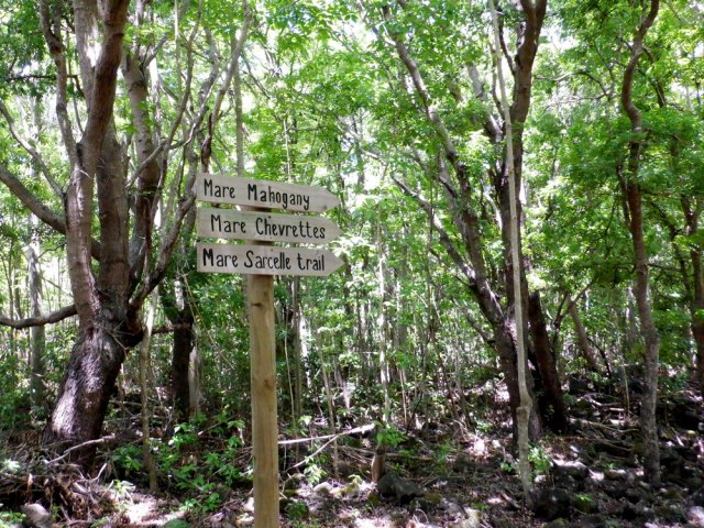 Suivre les panneaux de la Mare Sarcelle Trail