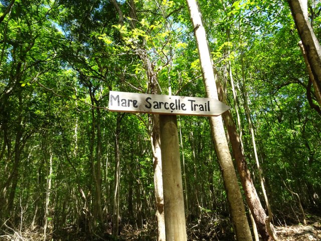 Difficile de s'égarer à chaque croisement