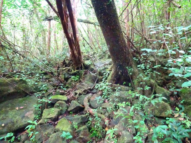 Les pierriers sont nombreux