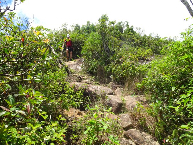 Début de la descente du parcours rouge
