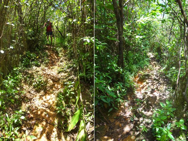 Beaucoup de pentes glissantes où il faut se maintenir aux branches