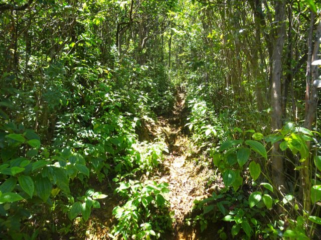 Une partie presque plate en descente