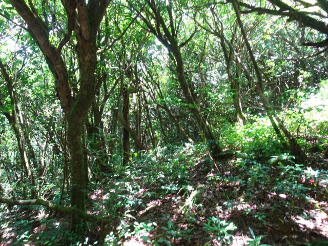 Prendre à droite au grillage et panneaux de couleur