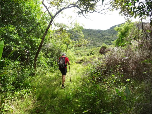 Terrain en friche après d'agréables prairies