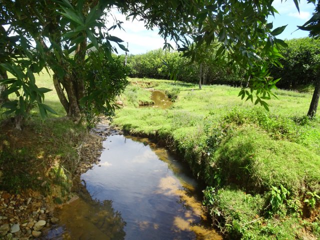 Des petits ruisseaux partout pour abreuver les troupeaux