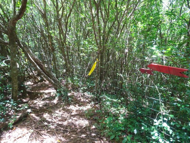 Impossible de se tromper grâce aux panneaux et au grillage