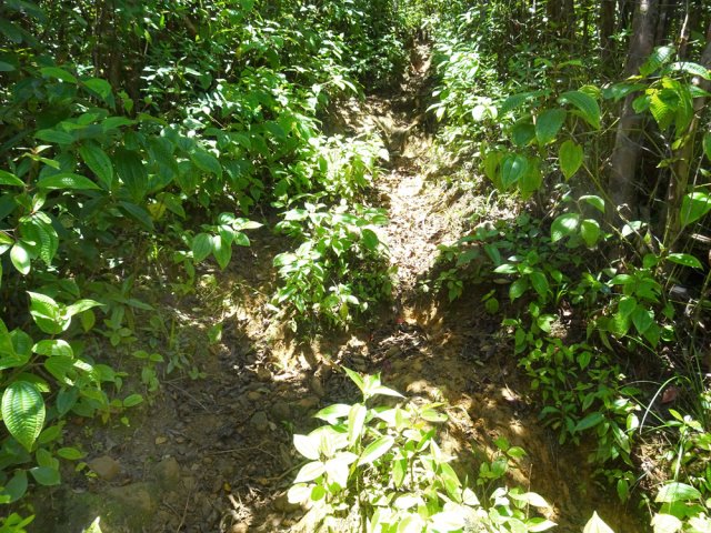 L'étroit sentier est parfois glissant