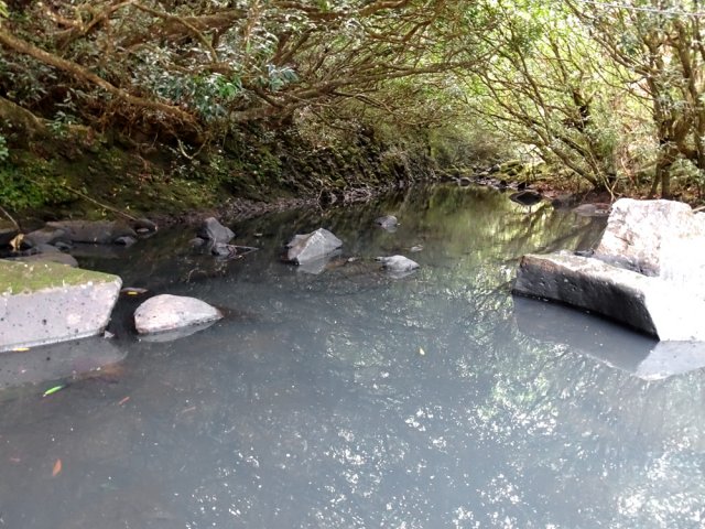 L'eau blanche coule calmement
