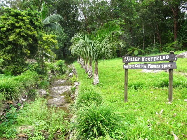 Le jardin des endémiques en début de parcours