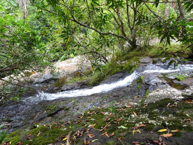 On peut facilement se rapprocher de la rivière