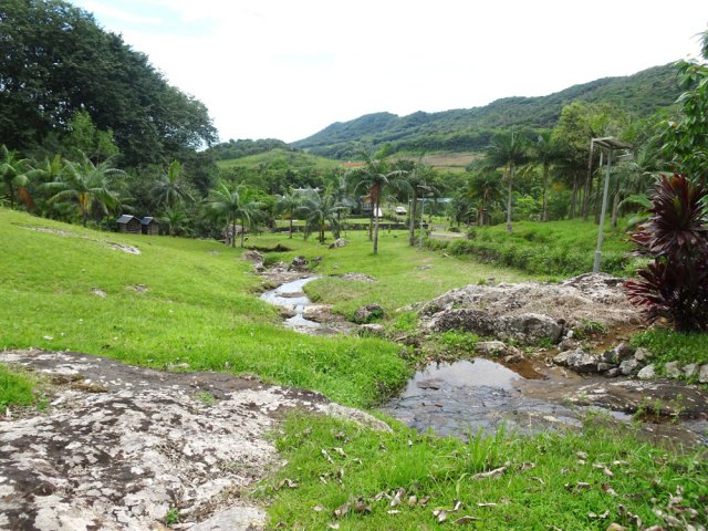 Un petit ruisseau traverse le jardin