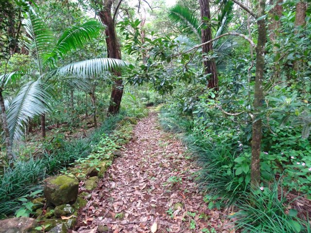 Le bois est encore domestiqué