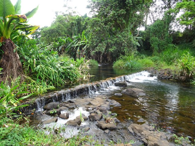 On parvient à l'écluse de récupération des eaux pour l'arrosage