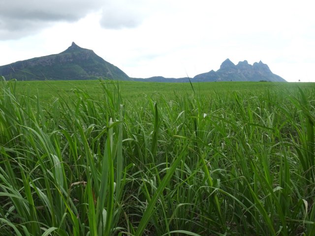 Vues sur le Pouce et Pieter Both