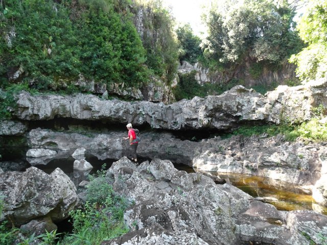 Chercher des yeux le meilleur passage pour l'escalade