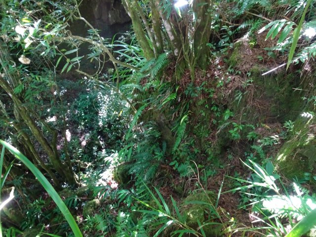 Trouver le meilleur passage pour atteindre le pied du pont