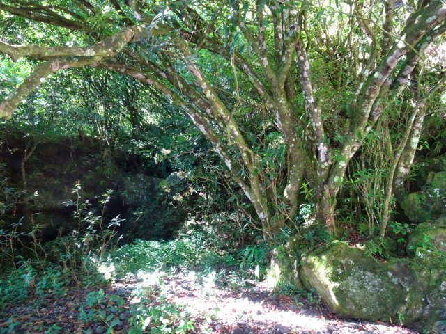 Enfin au pied du jamrosat proche des piles du pont