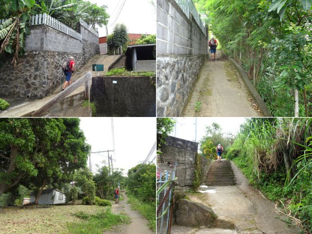Le raccourci, très agréable, du Sentier des Serins