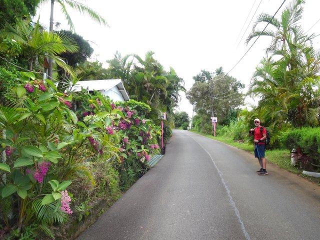 On retrouve la route, plus facile et fleurie