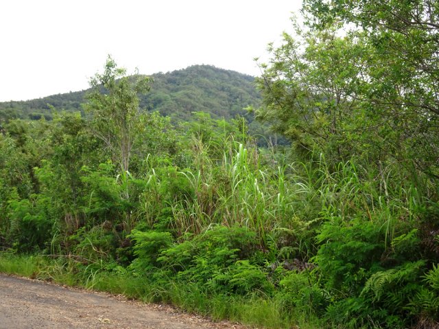 Le Piton de la Croix pointe le bout de son sommet