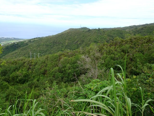 Le Piton la Mare de l'autre côté du Grand Bras