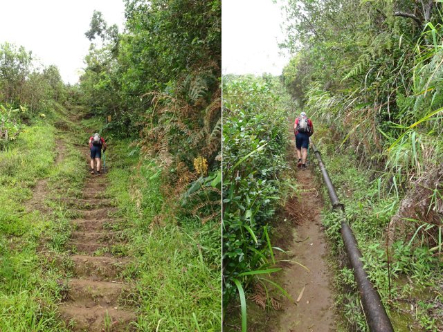 La montée glissante en direction du Piton de la Croix