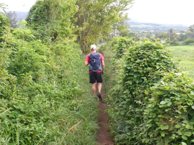 Sentier étroit mais fréquenté à l'approche de l'Etang Salé les Hauts