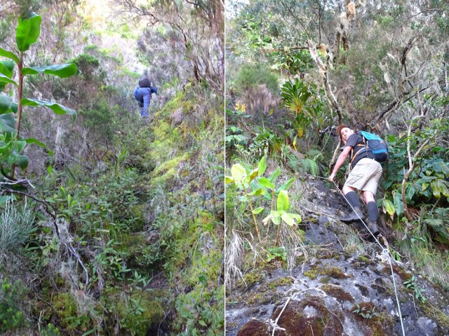 La pente ne faiblit jamais et demande de gros efforts
