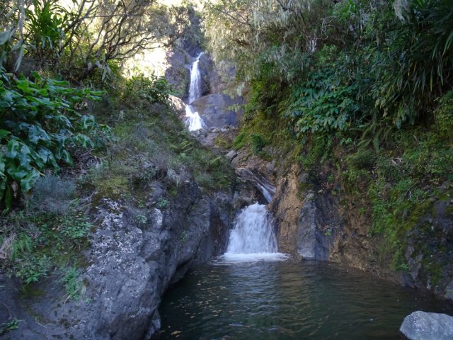 La baignade est interdite même si les bassins s'y prêteraient