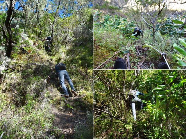 Avec ou sans corde, la montée s'effectue à quatre pattes