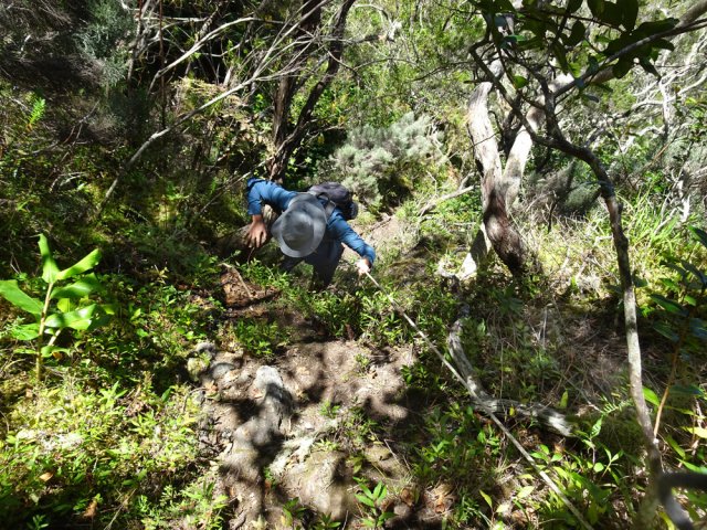 Les longues cordes, pas toujours indispensables, rassurent grandement