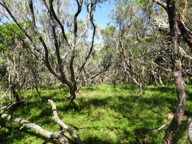 Rester sur le sentier pour ne pas abîmer le magnifique plateau