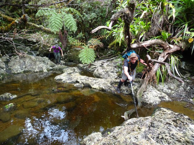 Redescendre la ravine jusqu'à deux fanjans avant de reprendre le sentier en rive gauche