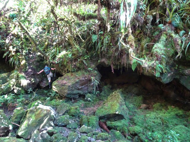 La remontée s'effectue entre une petite cascade et une grotte moussue