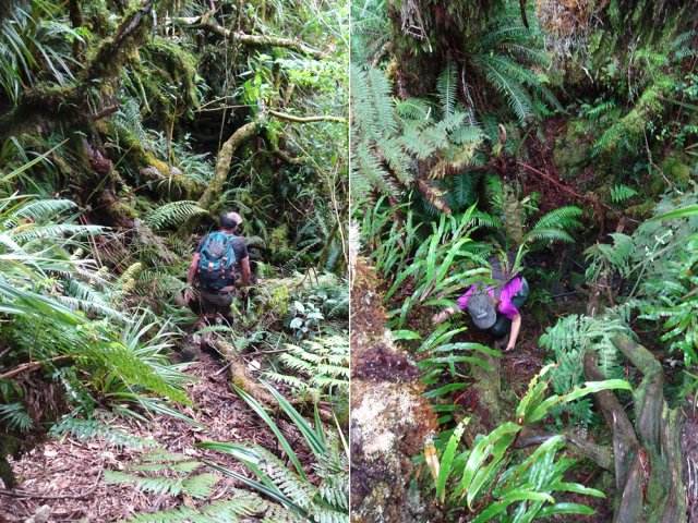 Le terrain devient plus accidenté après la ravine