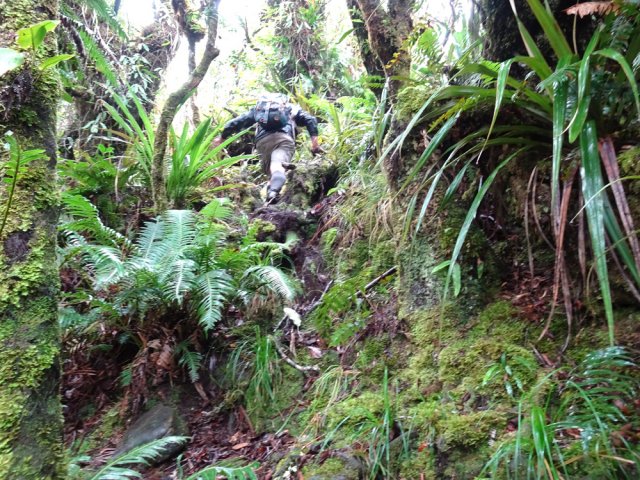 La partie technique dure jusqu'au Plateau de Thym