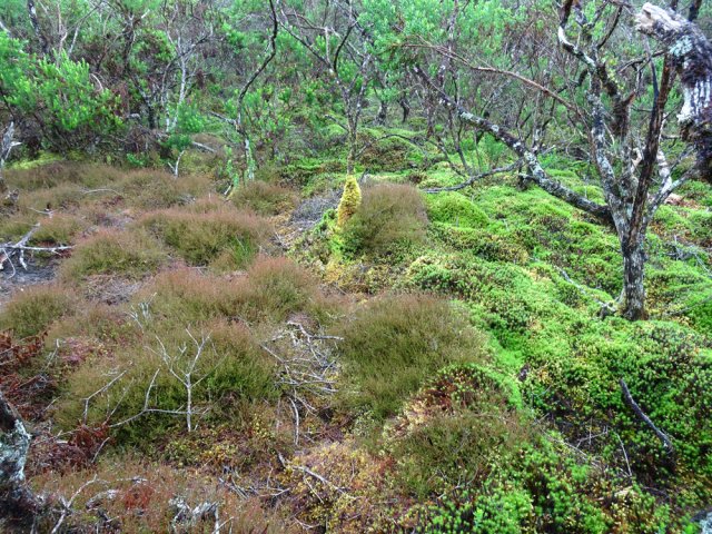 L'arrivée au Plateau de Thym où on a tendance à presser le pas