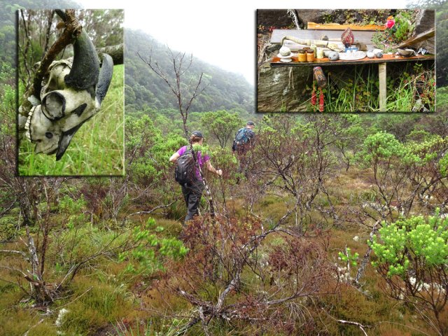 Le plateau, envahi de grigris, semble éloigner les randonneurs