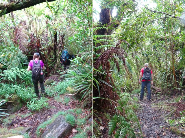 Le sentier des Mares et des Bois de Couleurs, peu entretenu, est cependant facile à suivre